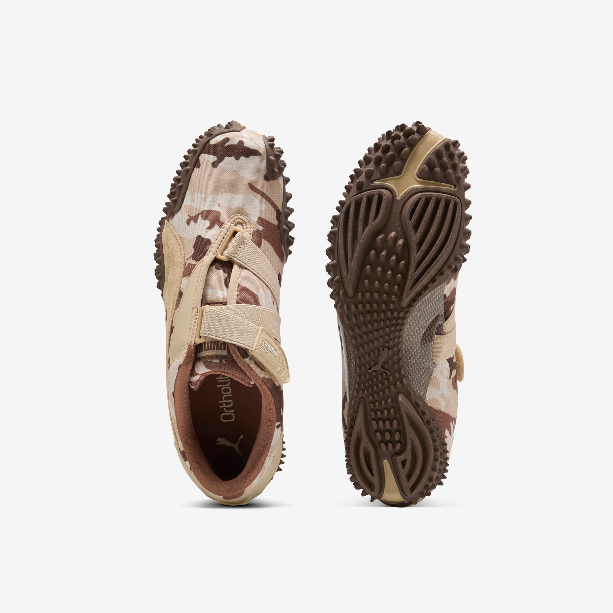 Mostro Camo