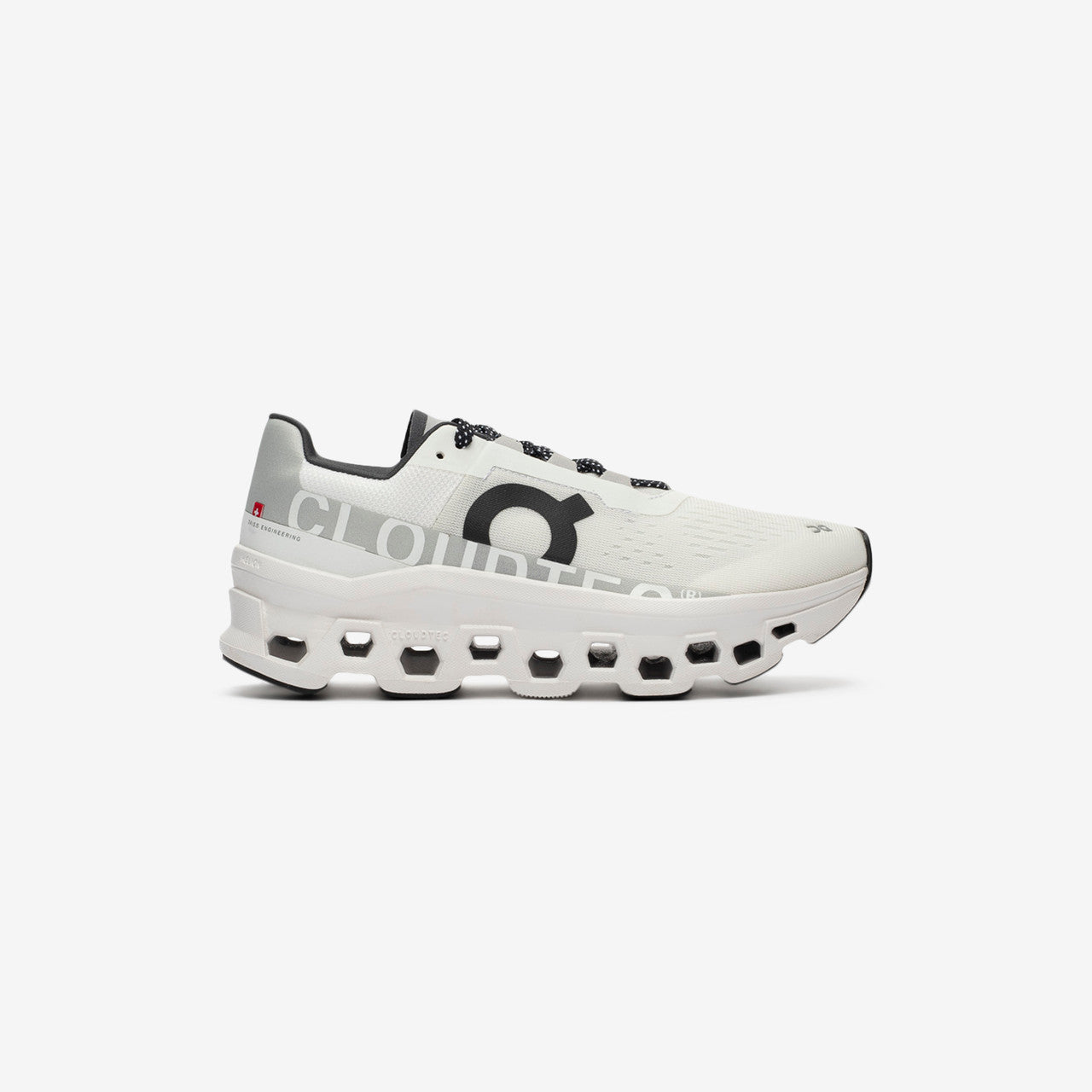 Wmns Cloudmonster Exclusive | 61.98285