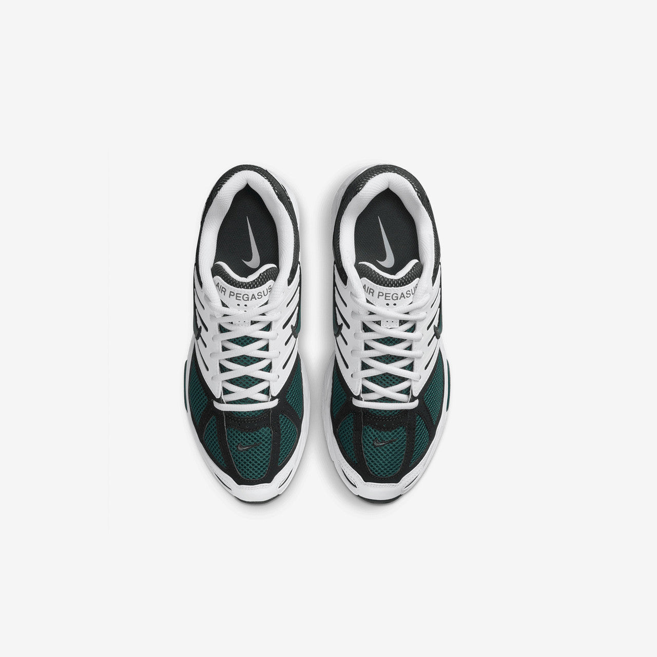 Wmns Air Pegasus 2005 | HQ5718-102