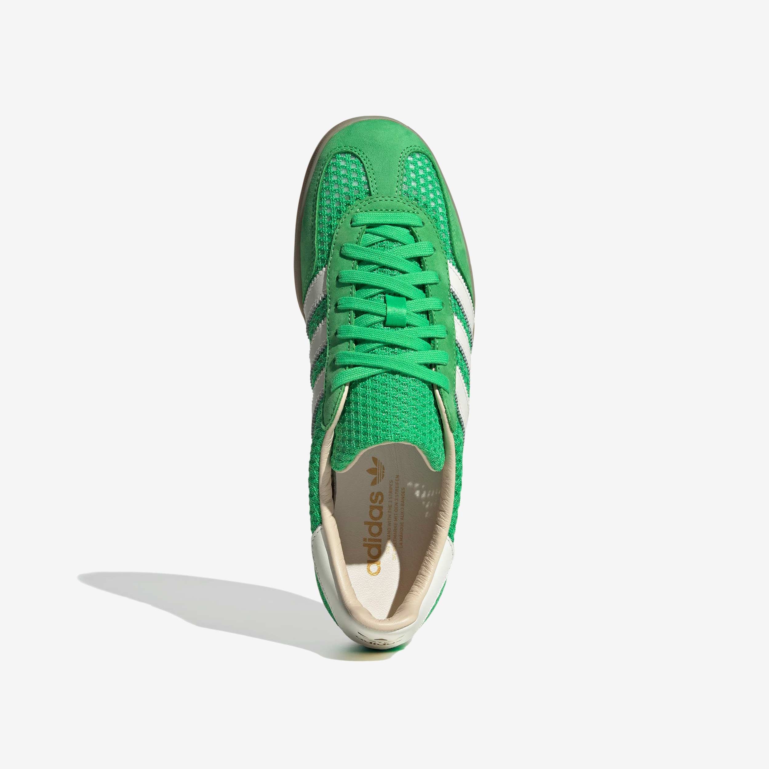 Gazelle Indoor