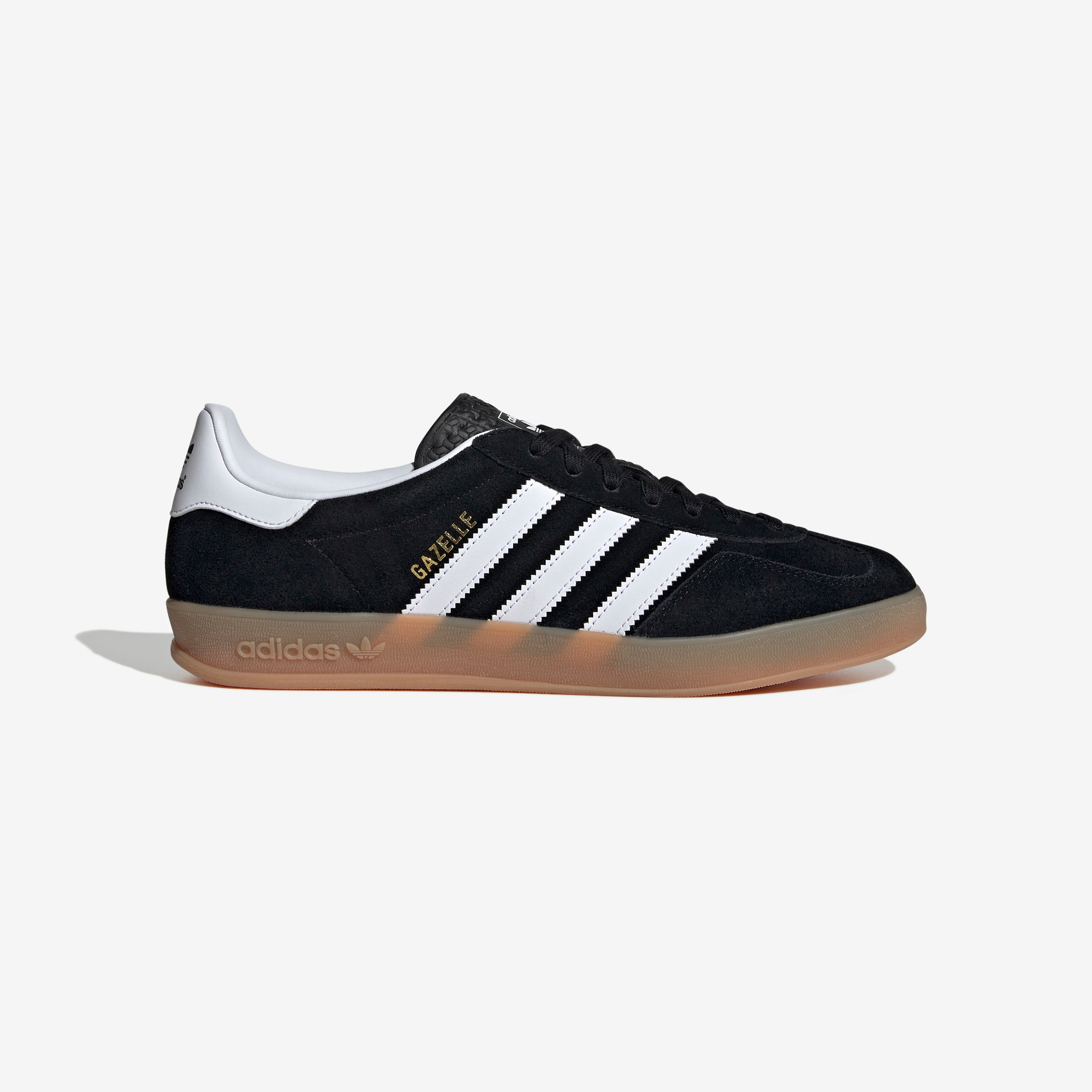 Gazelle Indoor