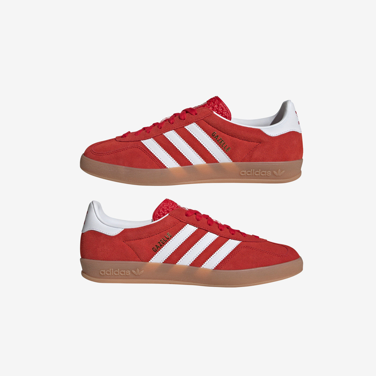 Gazelle Indoor | JI2063