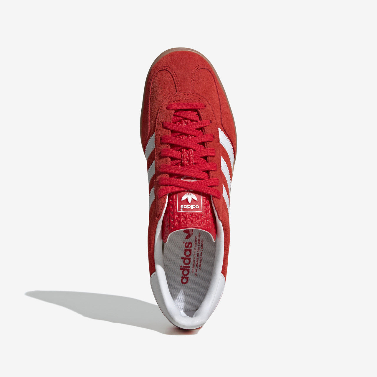 Gazelle Indoor | JI2063