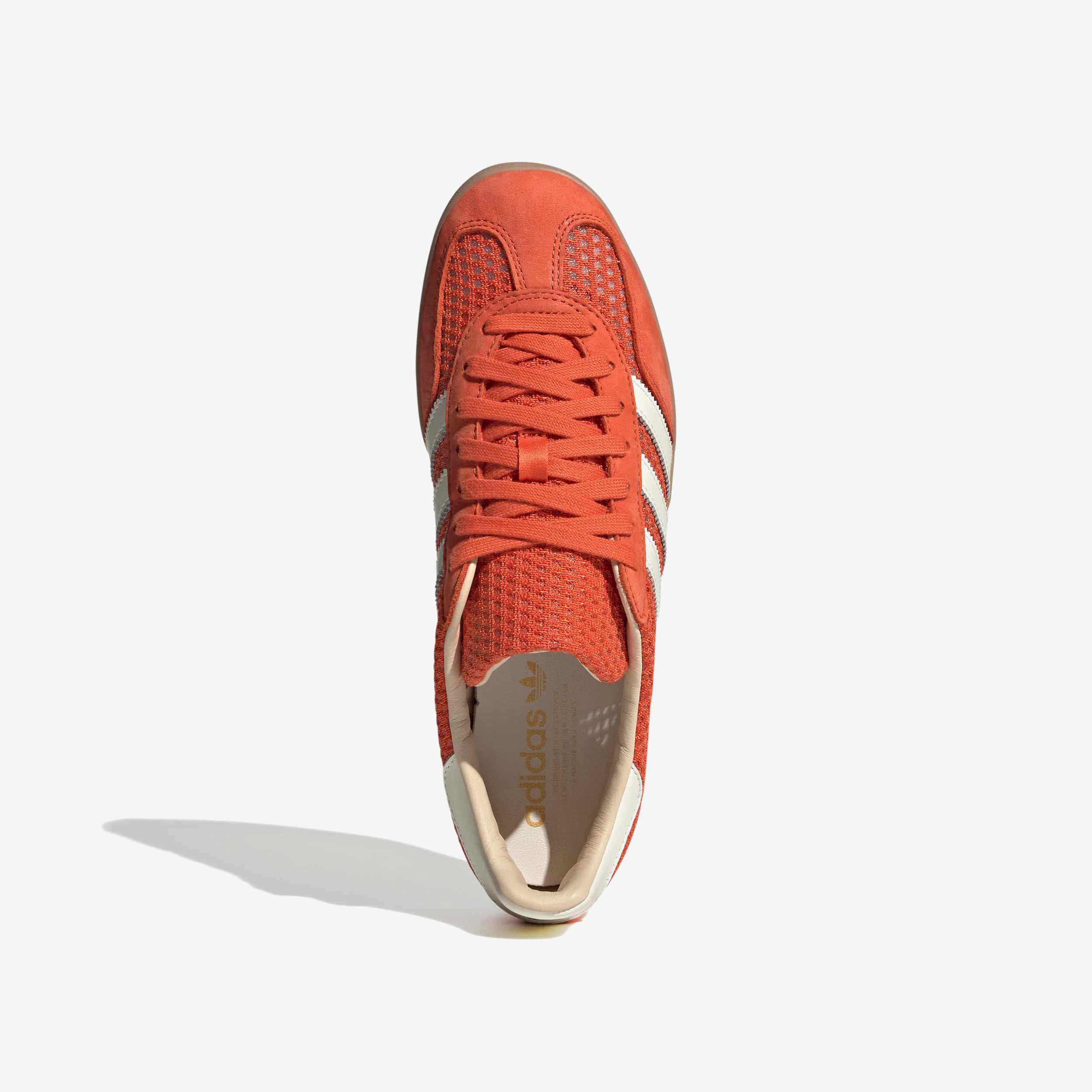 Gazelle Indoor