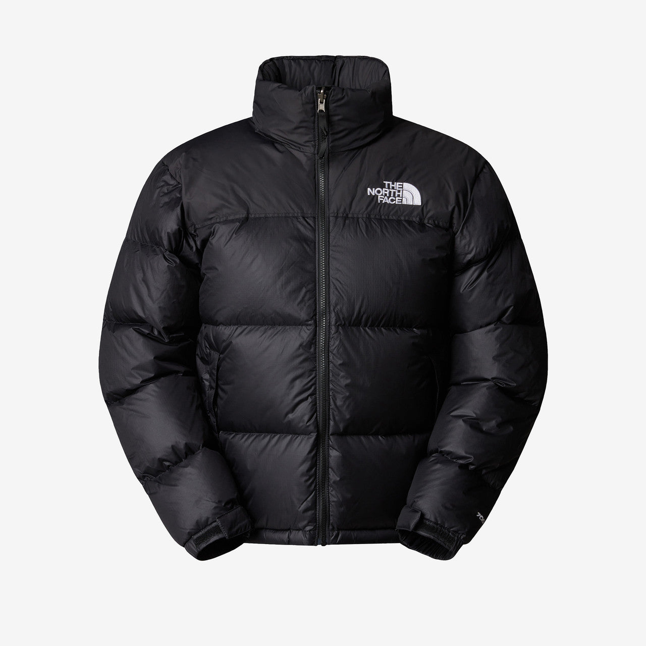 1996 Retro Nuptse Jacket | NF0A3C8D4G31