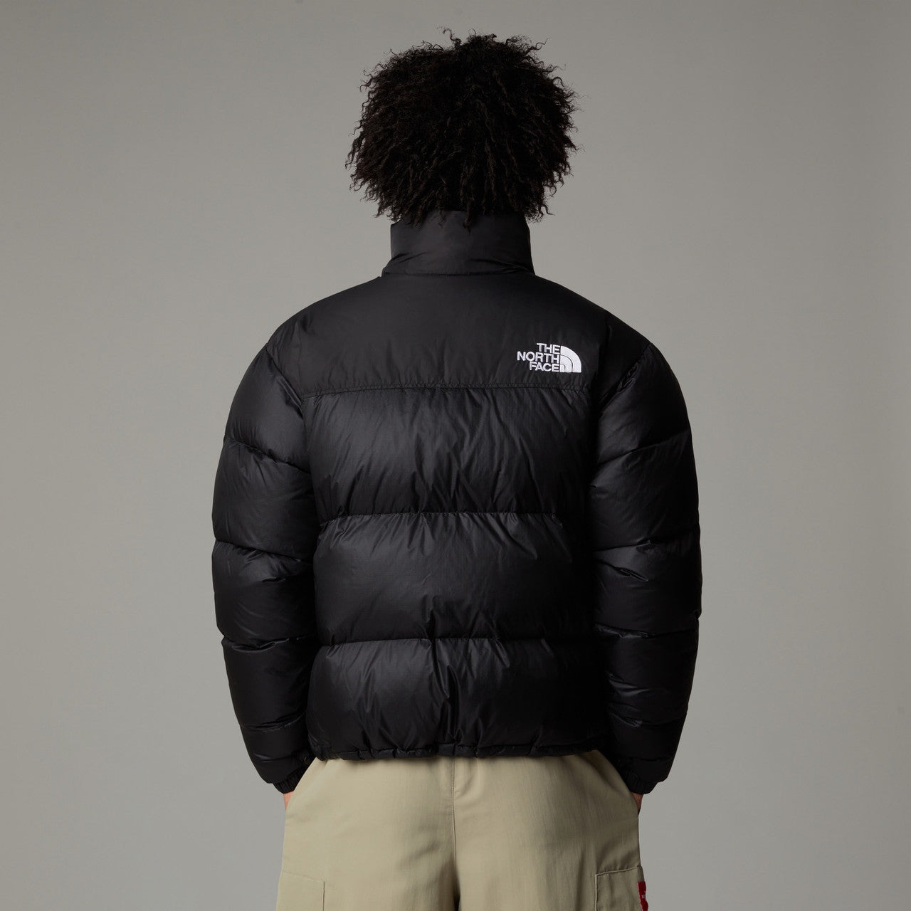 1996 Retro Nuptse Jacket | NF0A3C8D4G31