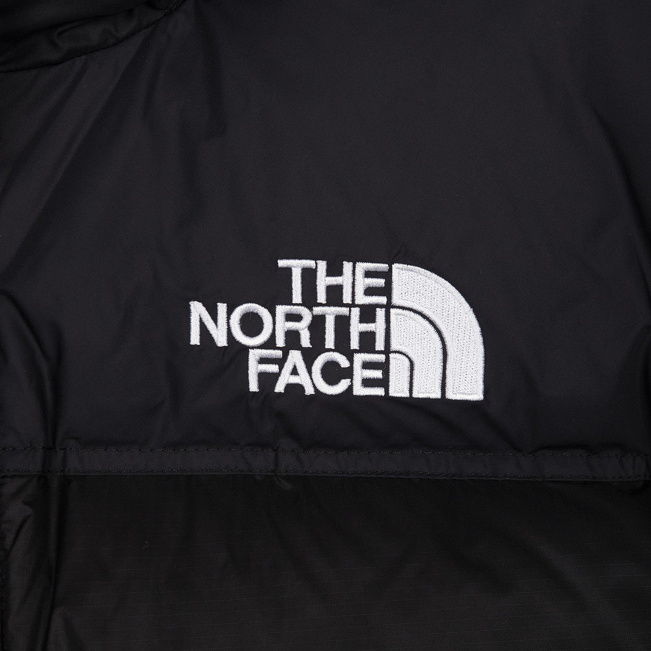 1996 Retro Nuptse Jacket | NF0A3C8DLE4