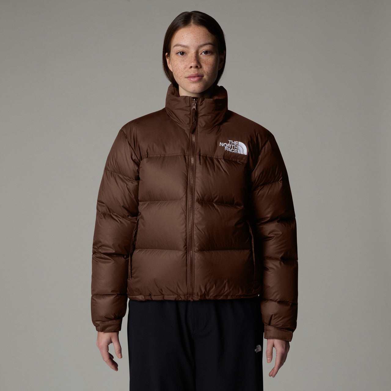 Wmns 1996 Retro Nuptse Jacket | NF0A3XEO1OI1